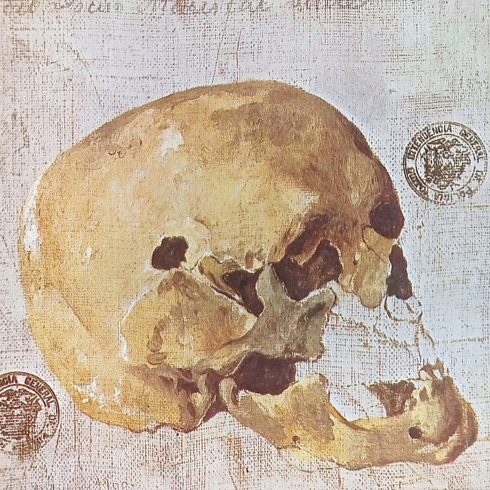Cráneo de Antonio José de Sucre, por Joaquín Pinto.